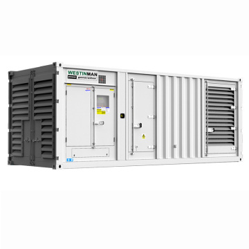 Container Typ 650KVA 750KVA 1000KVA Stille Schalldiewer -Diesel -Generator -Set